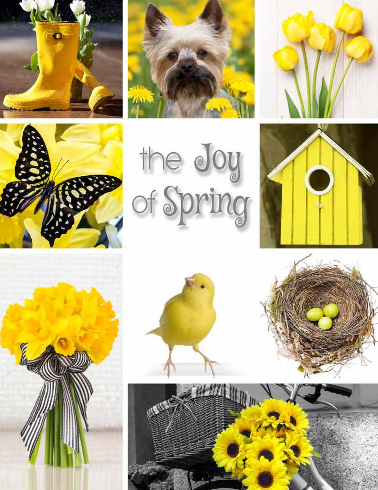 Joy Of Spring Brochure Fundraiser